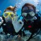 Mergulho de Batismo (Discovery Scuba Diver)